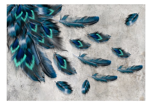 Fototapeta - Blown Feathers