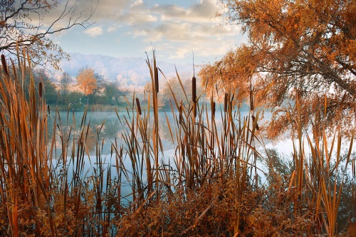 Samolepící fototapeta jezero uprostřed podzimní přírody