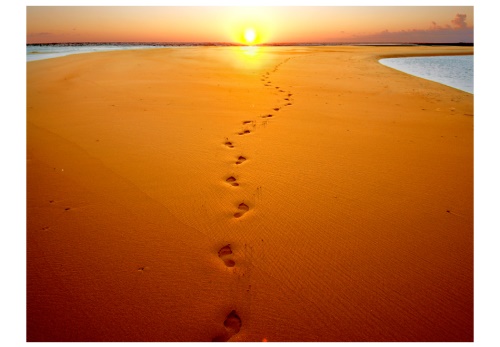 Fototapeta - Footprints in the sand