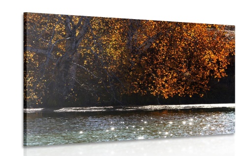Obraz odraz listí v jezeře