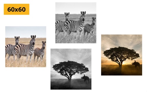 Set obrazů zvířata žijící na Savanu