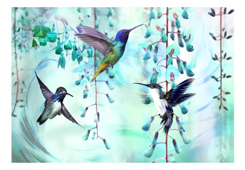 Fototapeta - Flying Hummingbirds (Green)