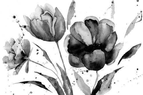 Tapeta tulipány černobílé 