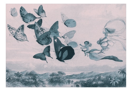 Fototapeta - Butterflies and Fairy