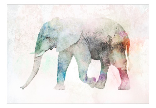 Fototapeta - Painted Elephant