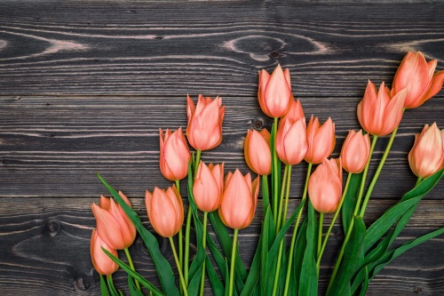 Samolepící fototapeta oranžové tulipány na dřevěném podkladu