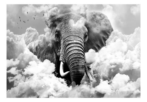 Fototapeta - Elephant in the Clouds (Black and White)