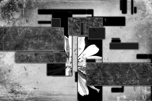 Samolepící tapeta černobílá květinová abstrakce