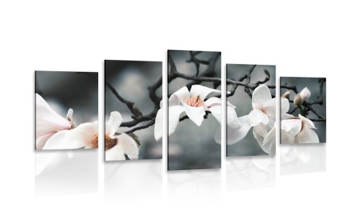 5-dílný obraz probouzející se magnolie