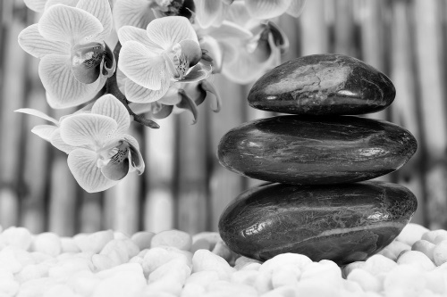 Fototapeta japonská Zen zahrada černobílá