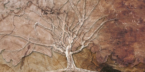 Obraz koruna stromu