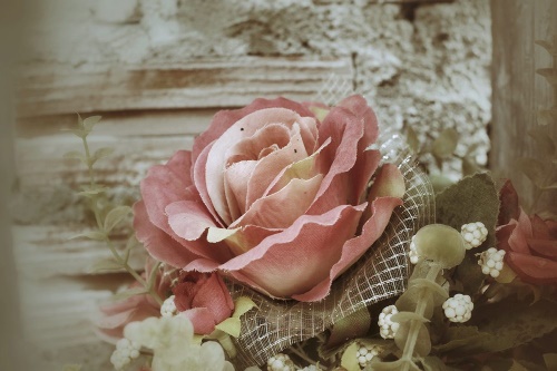 Samolepící fototapeta elegantní vintage růže
