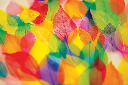 Samolepící tapeta listy v podzimních barvách