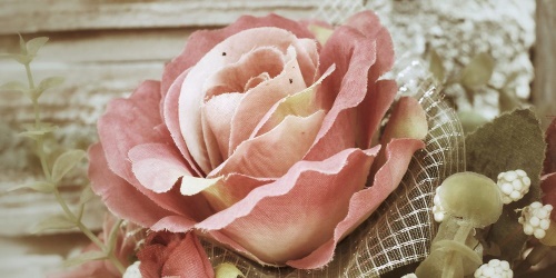 Obraz elegantní vintage růže