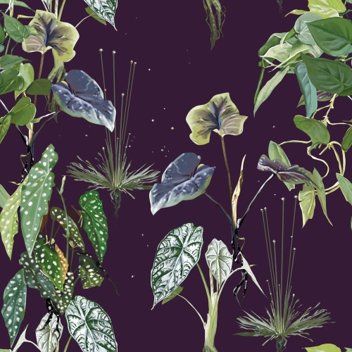 Tapeta rostliny na noční obloze - 75x1000 cm