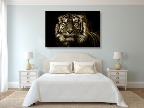 Obraz tygr v sépiovém provedení