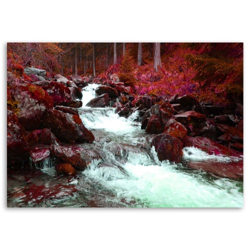 Obraz na plátně, Horský potoční les červený