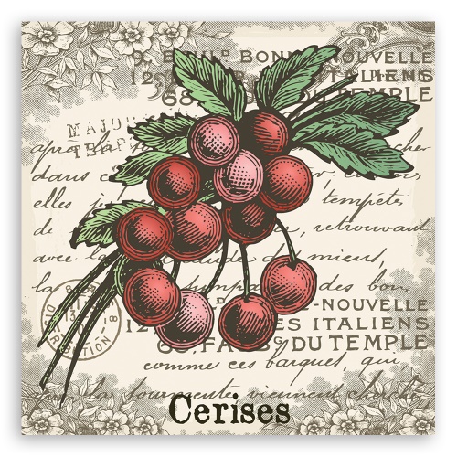 Obraz na plátně, Vintage Cherry