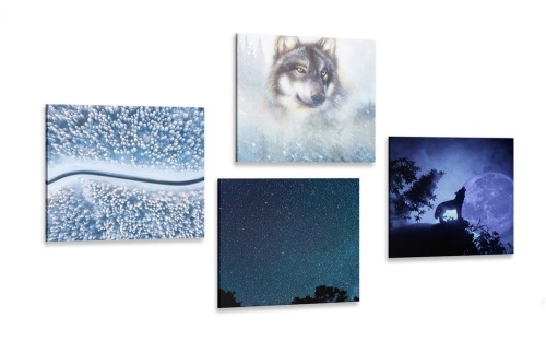 Set obrazů samotářský vlk