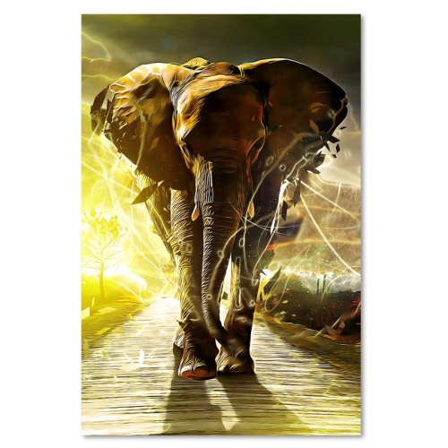 Obraz na plátně Slon na cestě Afrika