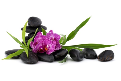 Tapeta fialová orchidej v Zen zátiší
