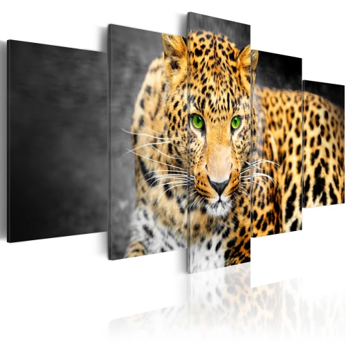 Obraz - Green-eyed leopard