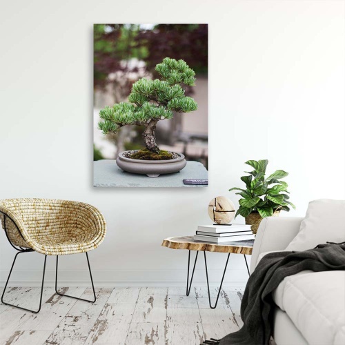 Obraz na plátně Bonsai strom rostlina