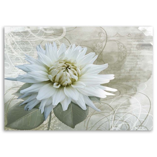 Obraz na plátně Bílá květina béžová Vintage