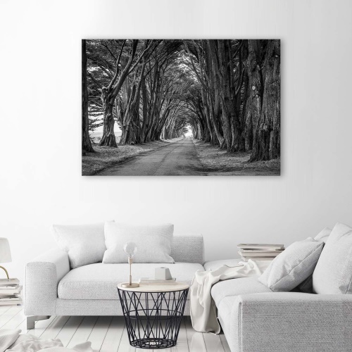 Obraz na plátně Aleje stromů v PARKU černobíle