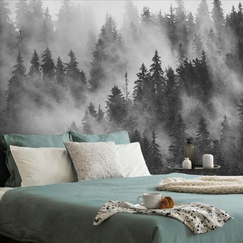 Tapeta hustý les zahalený mlhou