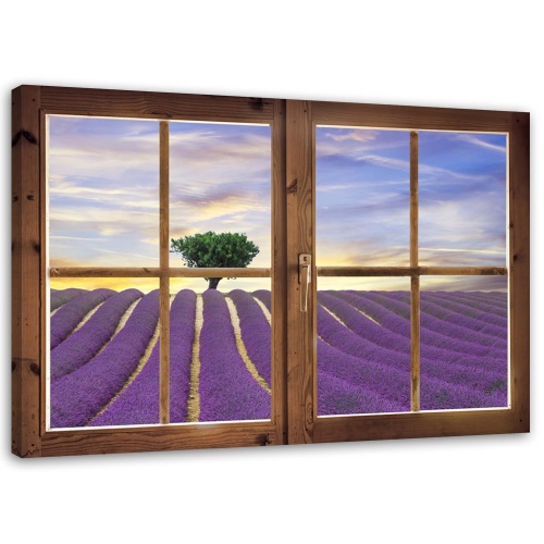 Obraz na plátně Pohled z okna Levandulové pole