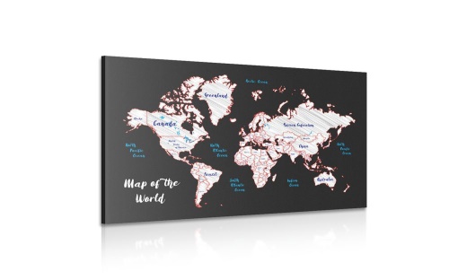 Obraz jedinečná mapa světa