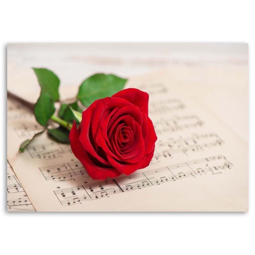 Obraz na plátně Červená růže Květinová hudba