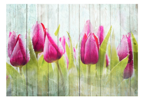 Fototapeta - Tulips on white wood