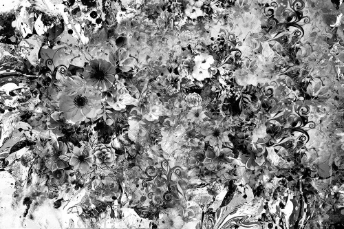 Tapeta černobílé květiny 