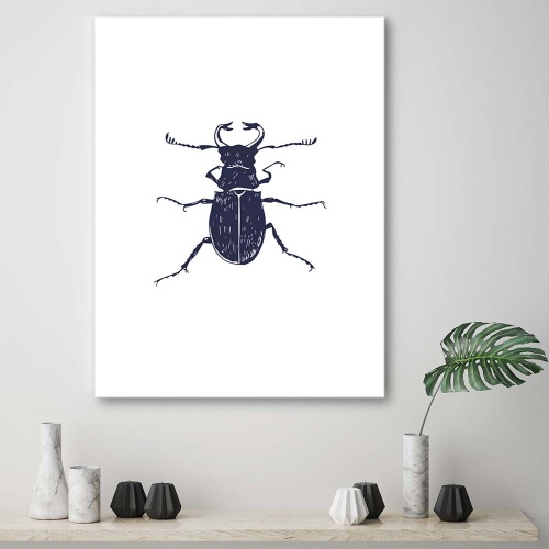 Obraz na plátně Hmyz