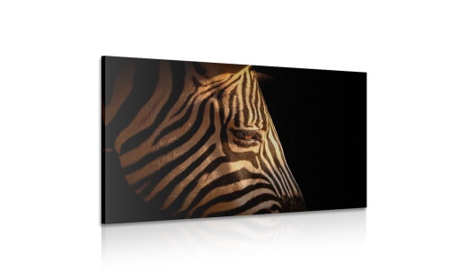 Obraz portrét zebry