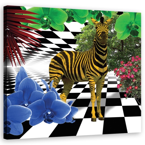 Obraz na plátně, Barevná zvířata přírody Zebra