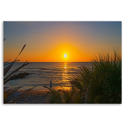 Obraz na plátně Plážová tráva při západu slunce