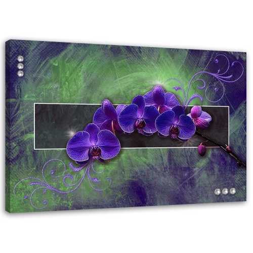 Obraz na plátně Orchidej Květina Přírodní fialová