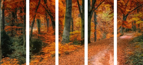 5-dílný obraz les v podzimním období