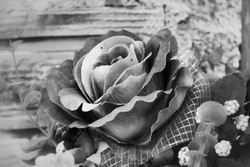 Obraz vintage růže v černobílém provedení