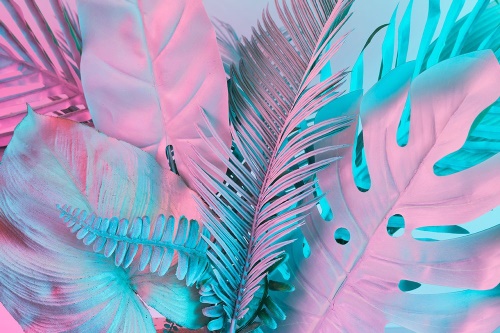 Tapeta palmové listy v neobyčejných barvách