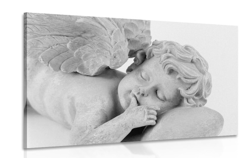 Obraz černobílý spící andílek
