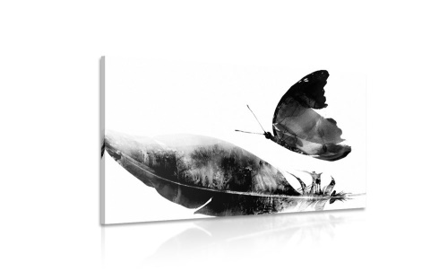 Obraz pírko s motýlem v černobílém provedení