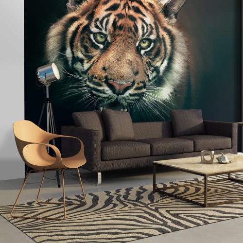 Fototapeta - Bengal Tiger