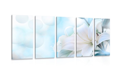 5-dílný obraz bílý květ lilie na abstraktním pozadí