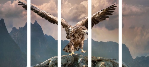 5-dílný obraz orel s roztaženými křídly nad horami