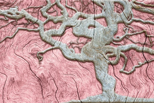 Samolepící tapeta abstraktní strom na dřevě s růžovým kontrastem