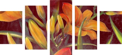 5-dílný obraz probuzení oranžové lilie